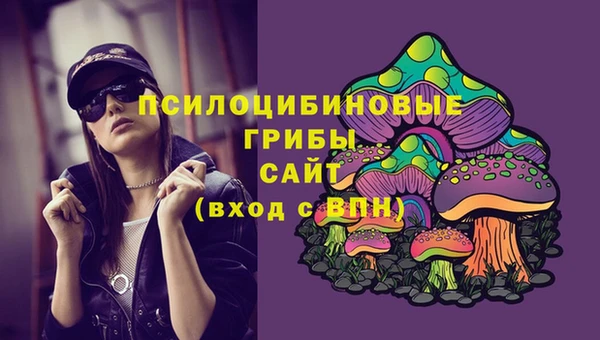метадон Бородино