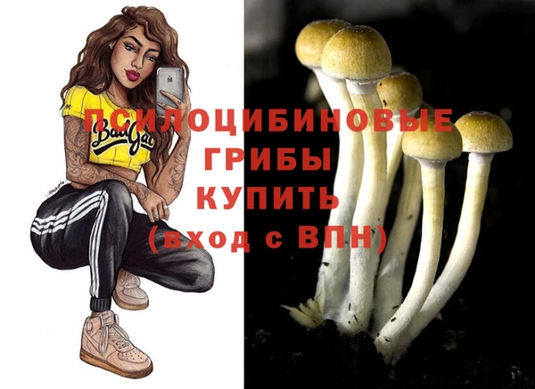 мдма Бронницы