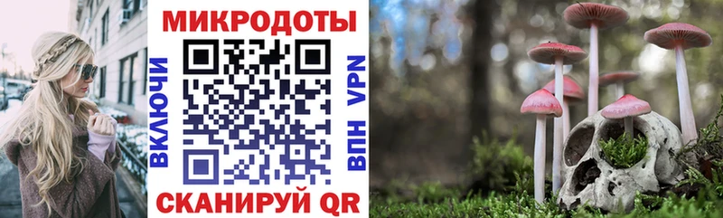 Псилоцибиновые грибы Psilocybine cubensis  Купить закладки  Суоярви 